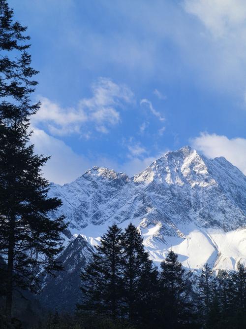 Arrest warrant for Shi Yongxin approved by prosecutors